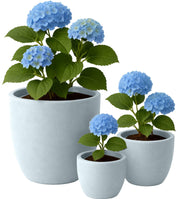 3-delige set plantenbakken – rond 1