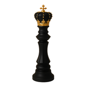 My King Your Queen, Our Rules