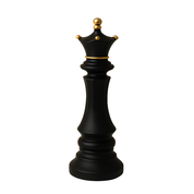 My King Your Queen, Our Rules