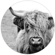 Muurcirkel Schotse Hooglander - Zwart-Wit