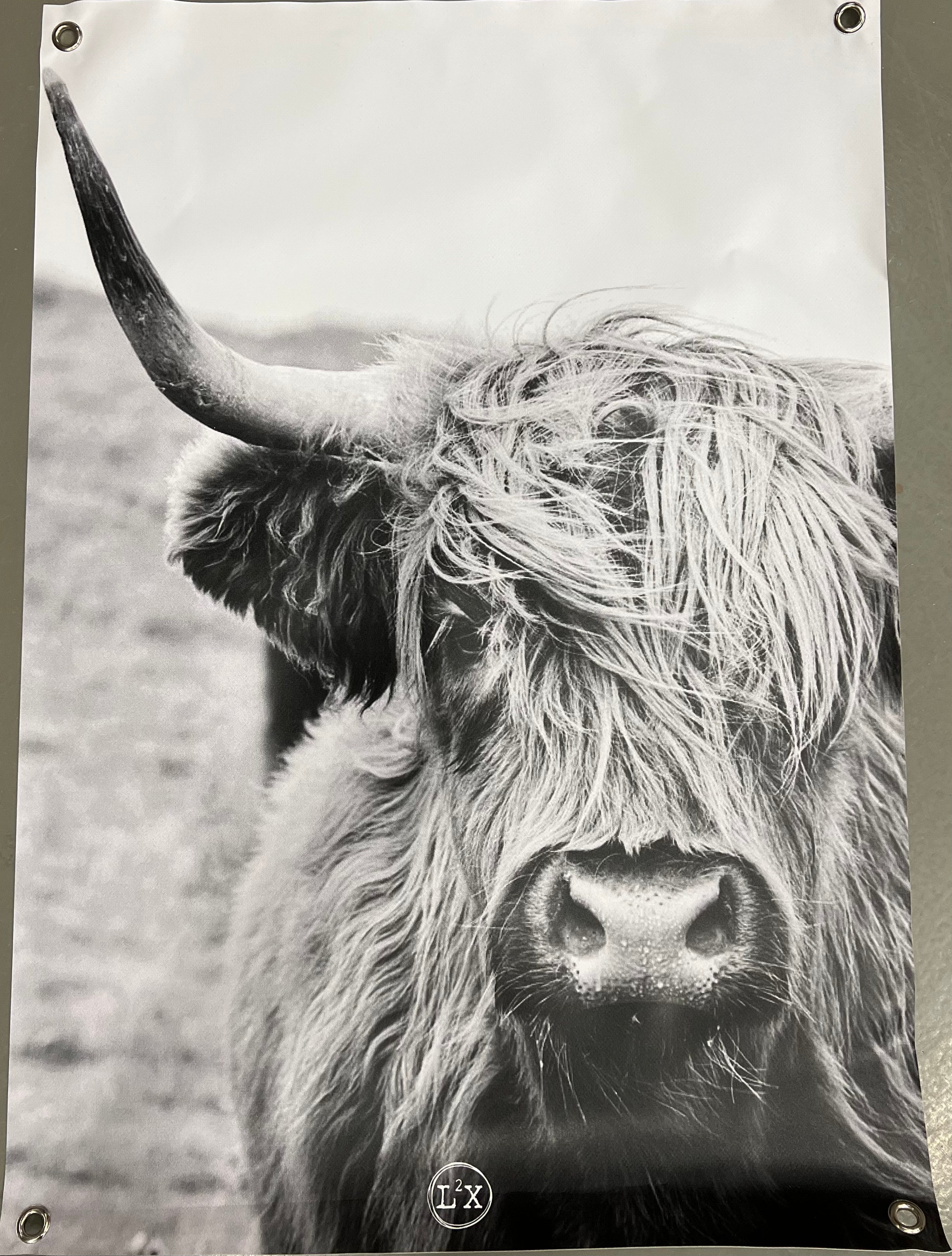 Tuinposter Cow