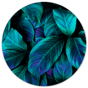 Muurcirkel Green Purple Plant